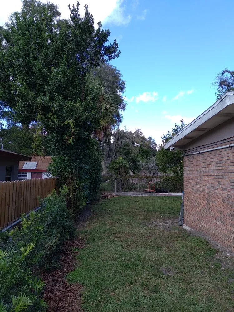 Reliable lawn mowing service for homes in Tampa, FL by JLG Landscaping & Property Maintenance