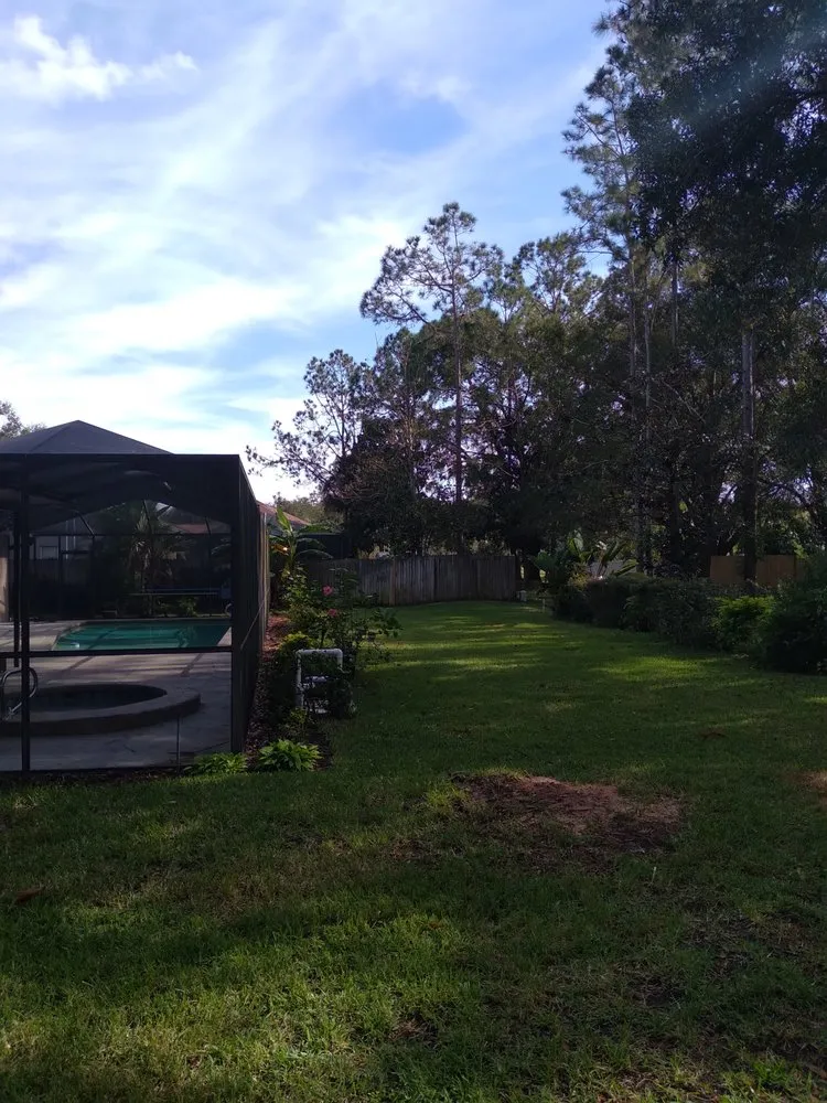 Custom yard cleanup service experts serving Tampa, FL - JLG Landscaping & Property Maintenance