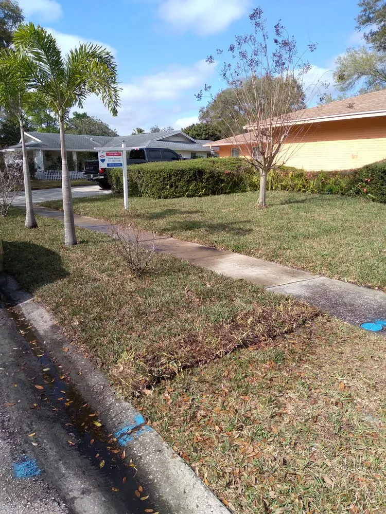 Professional landscaping services for beautiful yards in Tampa, FL by JLG Landscaping & Property Maintenance