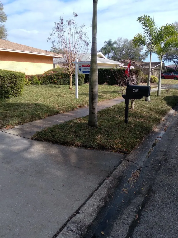 Reliable yard cleanup service experts serving Tampa, FL - JLG Landscaping & Property Maintenance