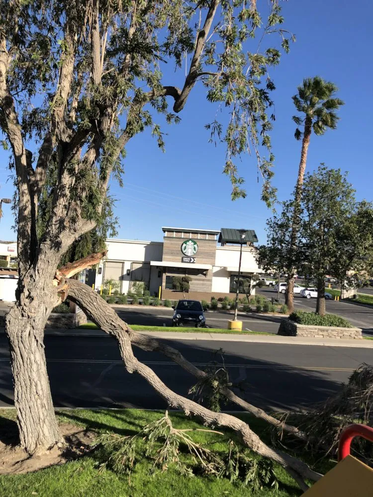 Affordable lawn mowing service experts serving Santa Clarita, CA - JLG Landscaping & Tree Service