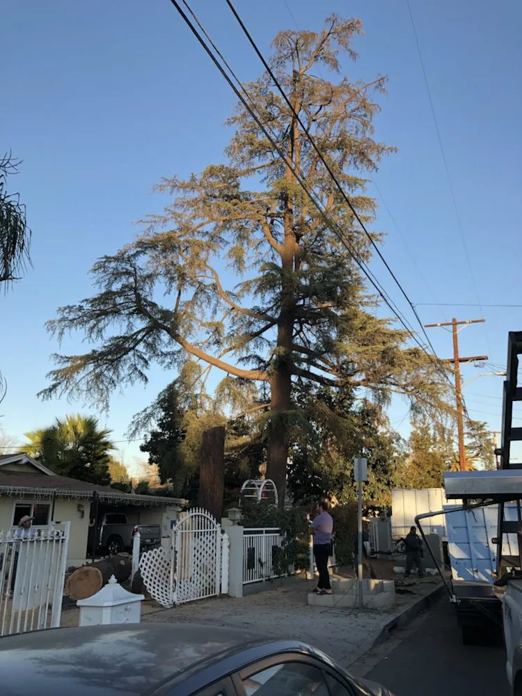 Expert landscaping services experts serving Santa Clarita, CA - JLG Landscaping & Tree Service