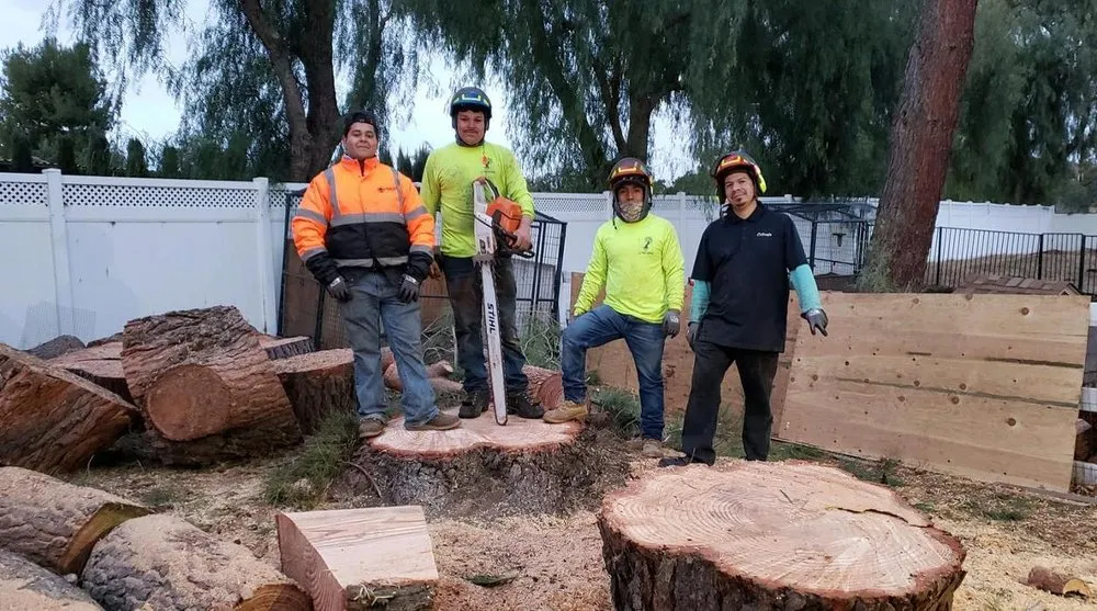 Affordable landscape installation experts serving Santa Clarita, CA - JLG Landscaping & Tree Service