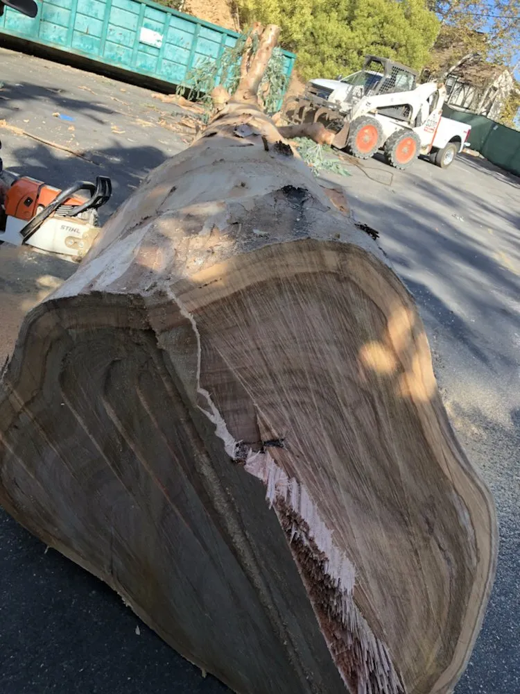 Custom landscaping services in Santa Clarita, CA - JLG Landscaping & Tree Service