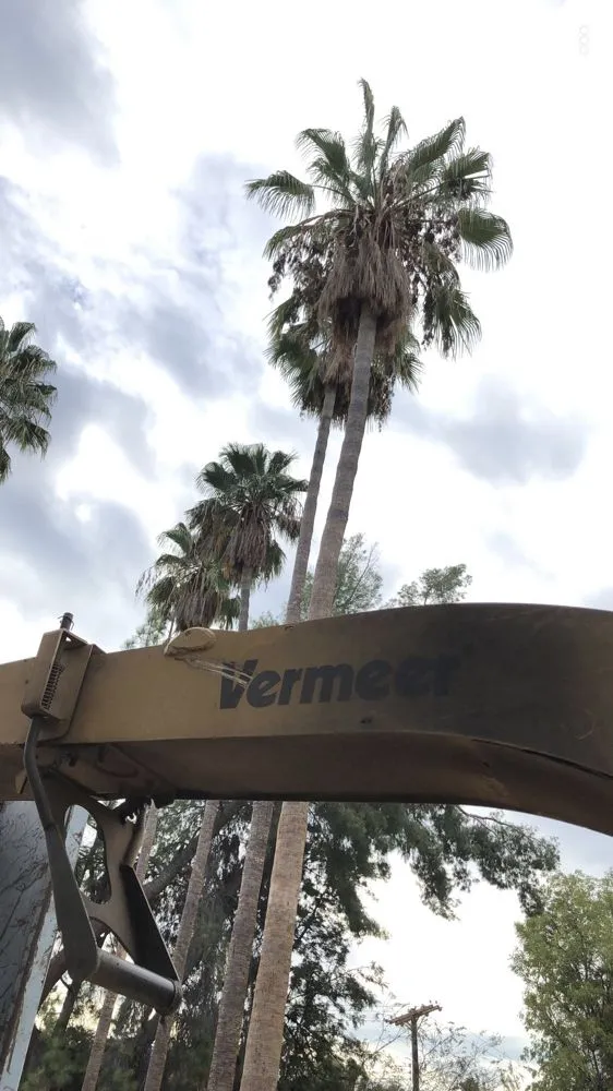 Trusted outdoor landscaping for outdoor upgrades in Santa Clarita, CA by JLG Landscaping & Tree Service