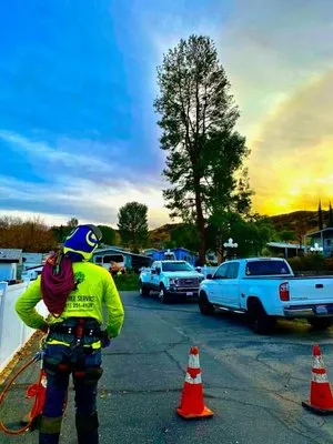 JLG Landscaping & Tree Service Logo