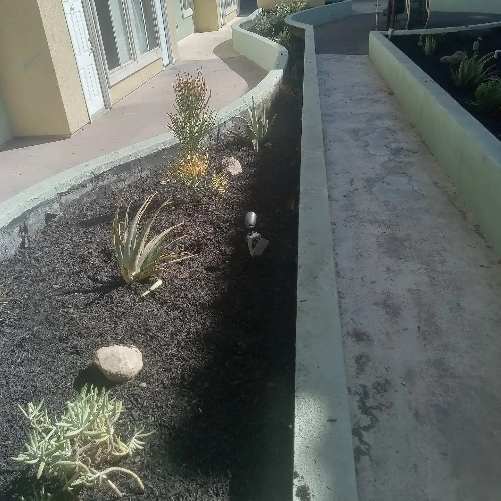Reliable outdoor landscaping for beautiful yards across Simi Valley, CA - JLG Landscaping