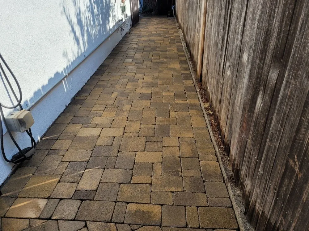 Expert landscaping services for year-round maintenance in Simi Valley, CA by JLG Landscaping