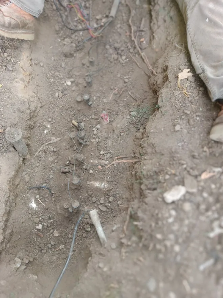 Local yard cleanup service experts serving Simi Valley, CA - JLG Landscaping