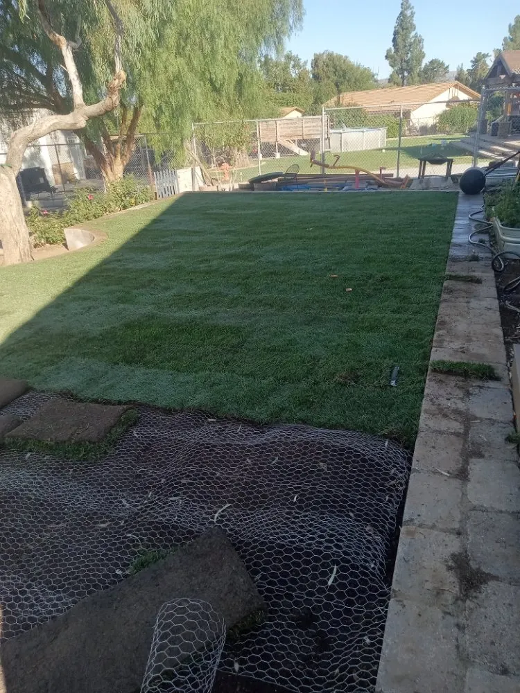 Local yard maintenance in Simi Valley, CA by JLG Landscaping