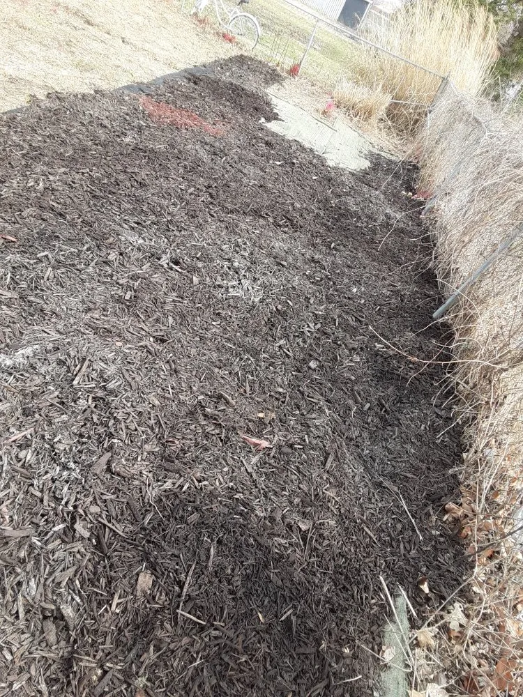 Local residential landscaping experts serving Ottawa, IL - JLH Labor Services