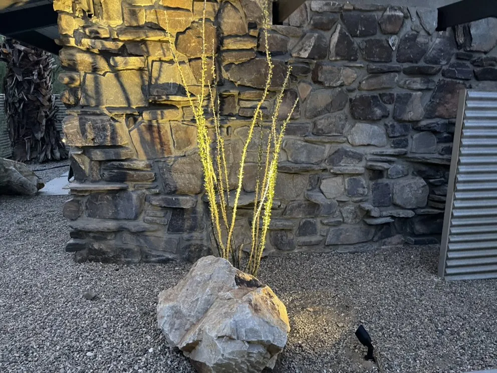 Custom lawn mowing service in Palm Desert, CA by JLHS Lawn Care & Design