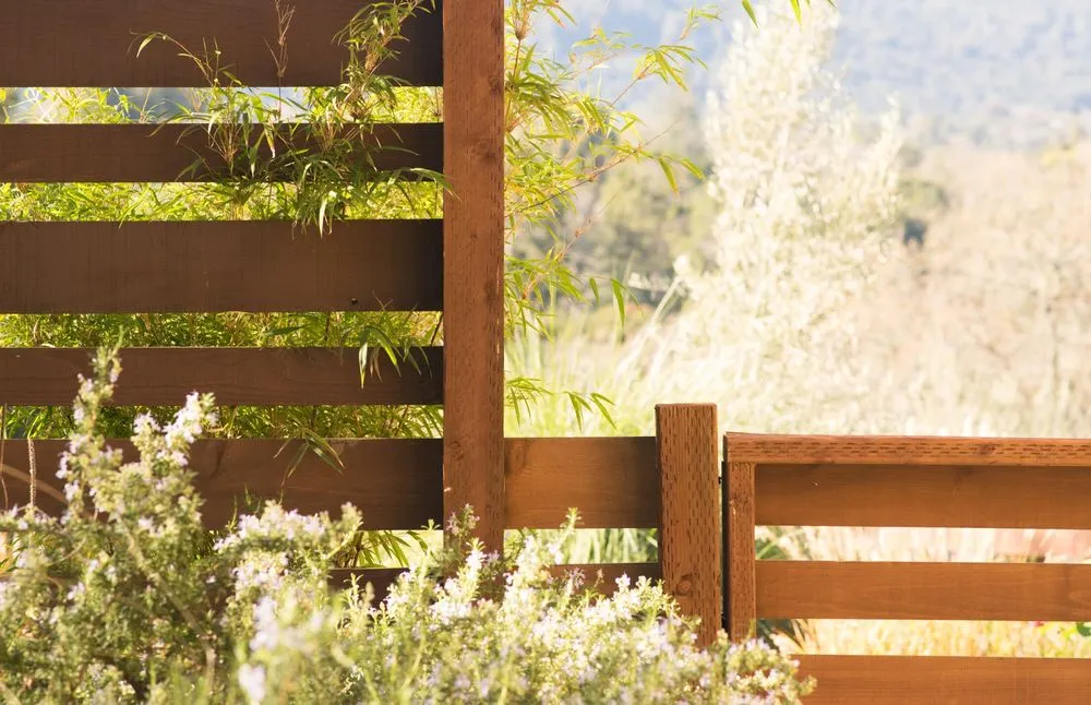 Affordable lawn care service in San Jose, CA by JLM Constructed