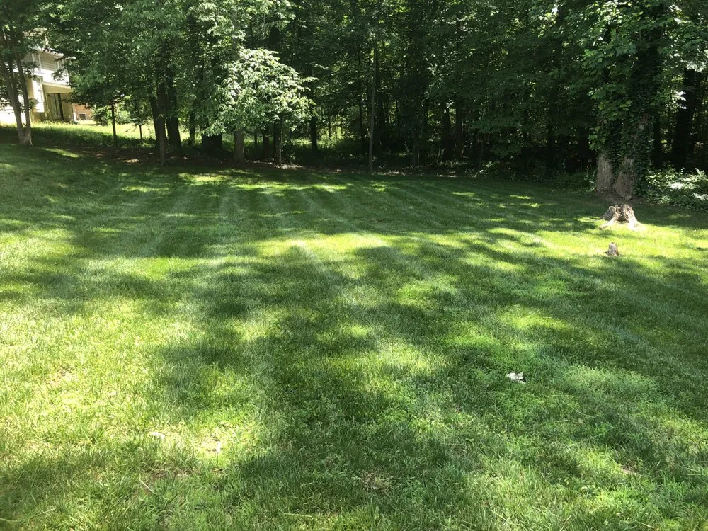 Professional residential landscaping for year-round maintenance in Locust Grove, GA by JL&M Landscaping