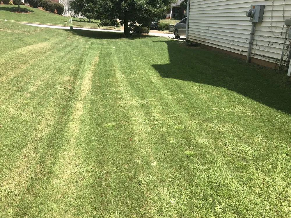 Local yard cleanup service in Locust Grove, GA by JL&M Landscaping