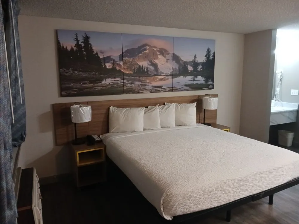 Trusted yard cleanup service for year-round maintenance across Lakewood, WA - J.L.M Maintenance And Landscaping