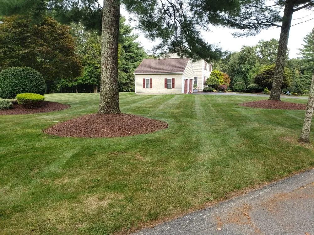 Local yard cleanup service in Westport, MA - Jlp Landscape And Construction