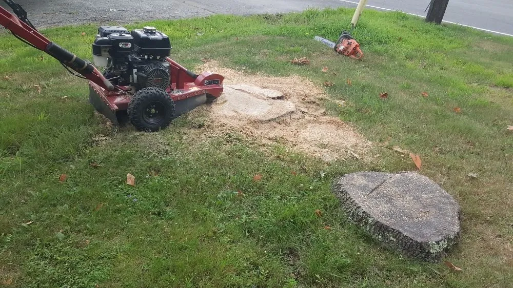 Local lawn care service in Westport, MA by Jlp Landscape And Construction