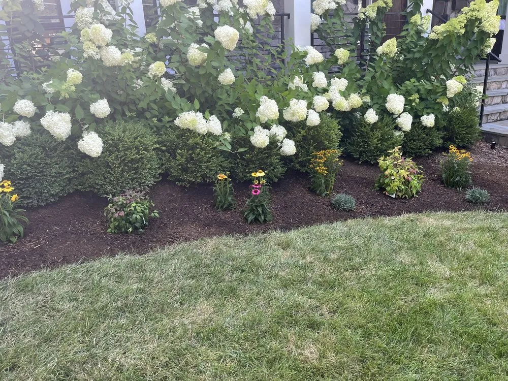 Custom landscaping services experts serving Alexandria, VA - Jlp Landscaping