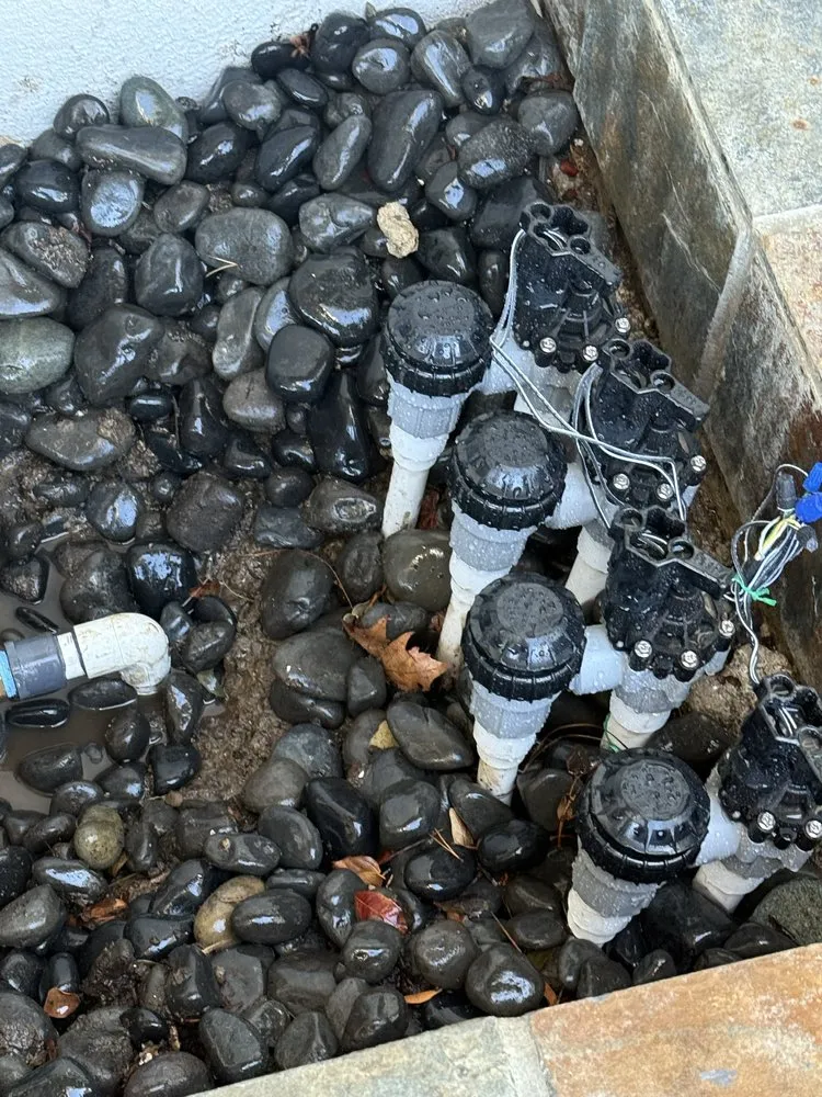 Expert yard cleanup service with custom design in Orange, CA by JLP Landscaping