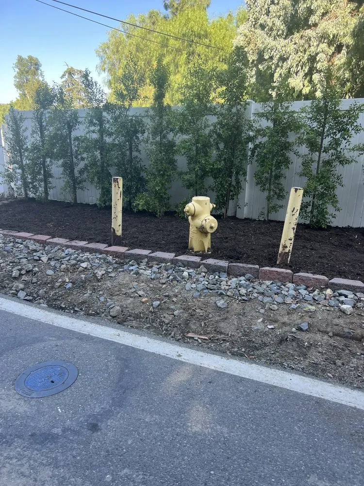 Professional garden landscaping in Orange, CA - JLP Landscaping