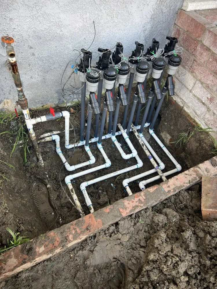 Trusted lawn care service in Orange, CA - JLP Landscaping