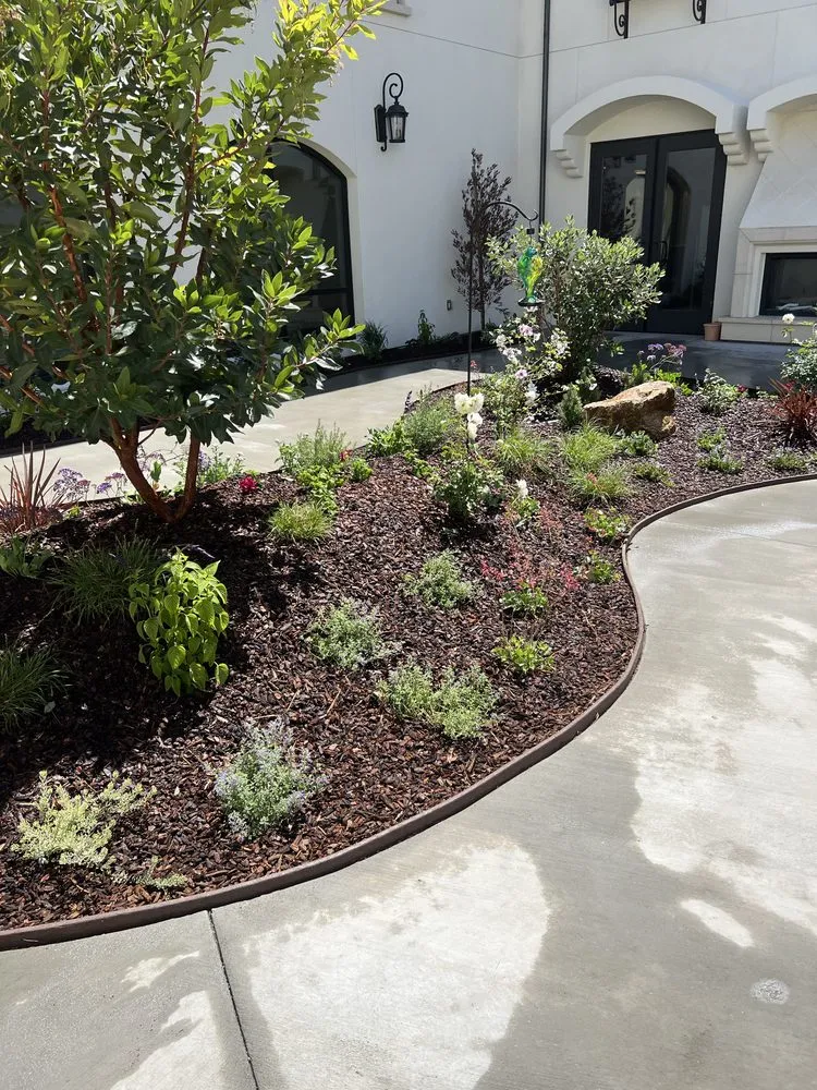 Affordable yard maintenance for homes in Orange, CA by JLP Landscaping