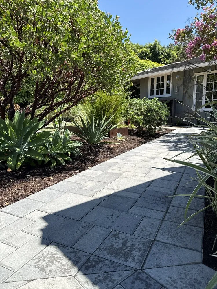 Local yard cleanup service experts serving Orange, CA - JLP Landscaping