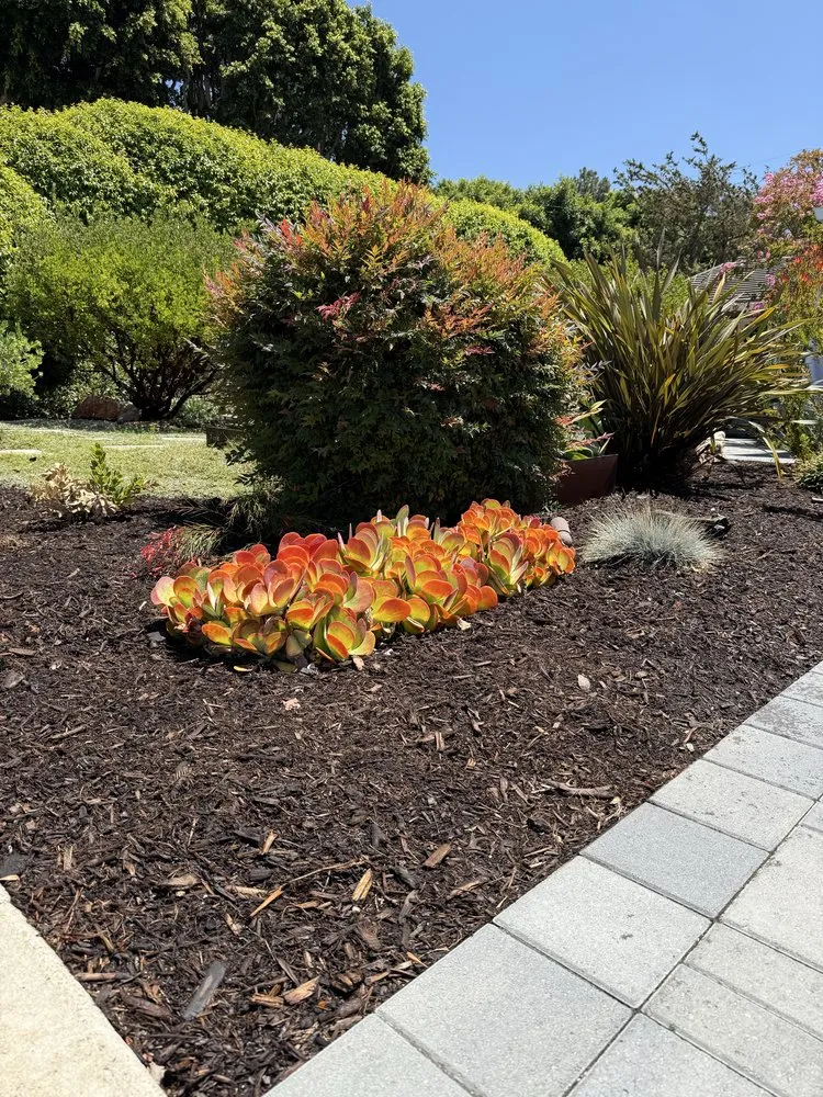 Local outdoor landscaping experts serving Orange, CA - JLP Landscaping