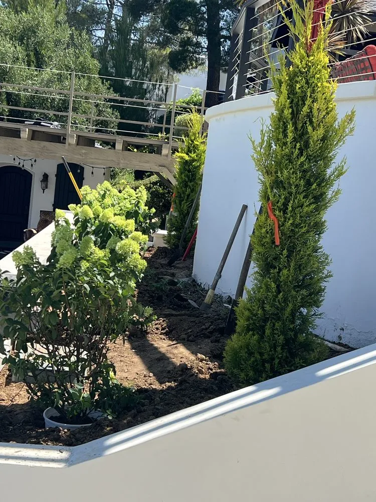 Custom landscape design for year-round maintenance across Orange, CA - JLP Landscaping