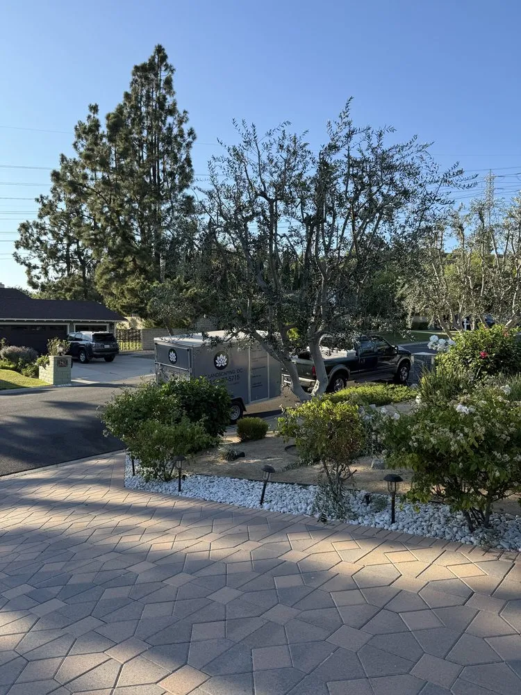 Trusted lawn care service for year-round maintenance across Orange, CA - JLP Landscaping