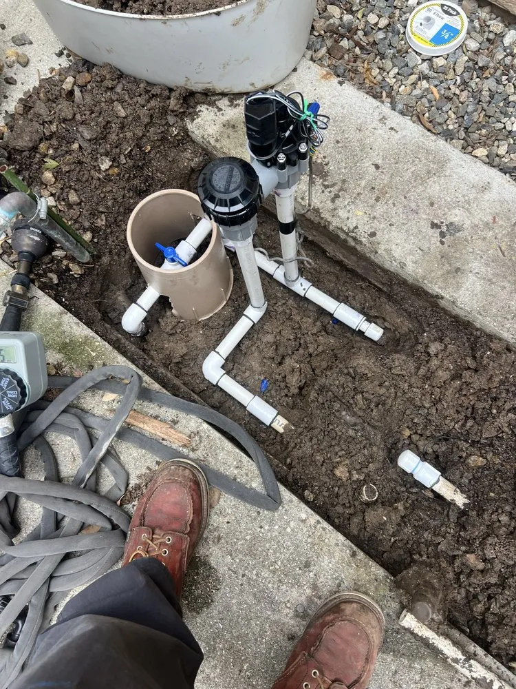 Top-rated landscaping services in Orange, CA by JLP Landscaping