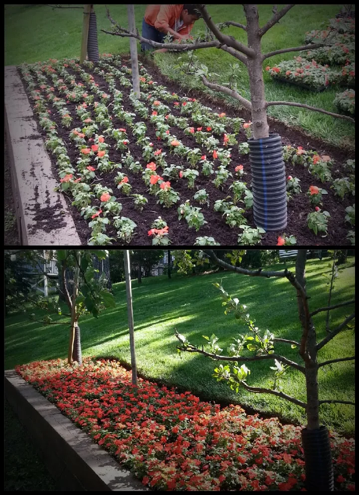 Trusted lawn care service experts serving Wauconda, IL - JLP Landscaping Services