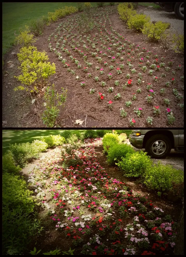 Affordable garden landscaping in Wauconda, IL - JLP Landscaping Services