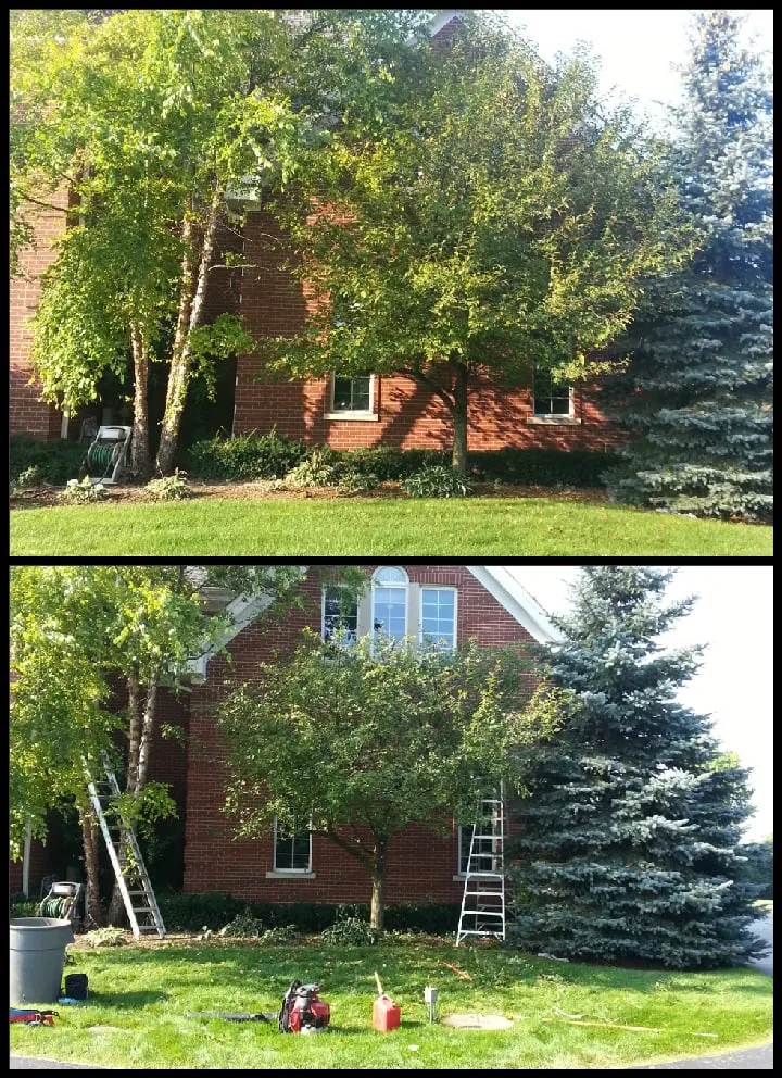 Custom lawn mowing service in Wauconda, IL by JLP Landscaping Services