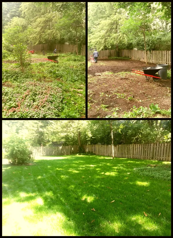 Affordable landscaping services in Wauconda, IL by JLP Landscaping Services