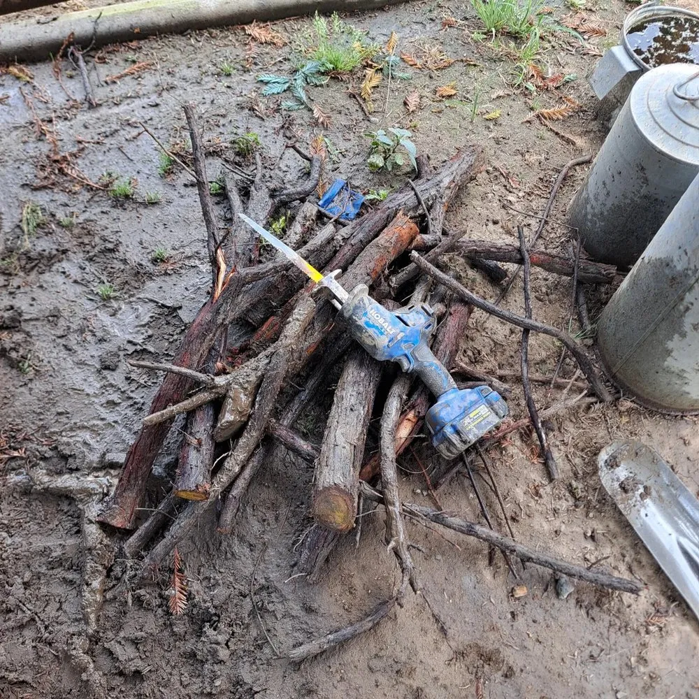 Top-rated garden landscaping in Visalia, CA by JLR Landscape