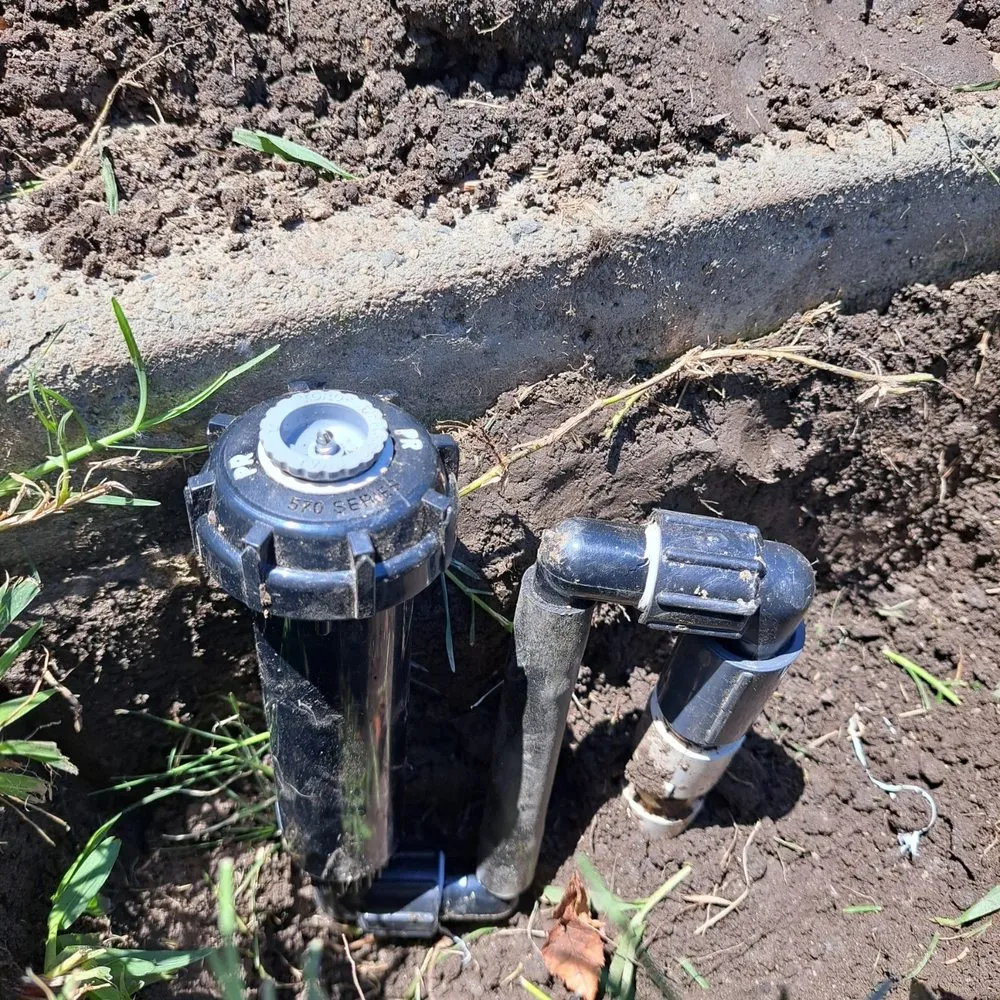 Affordable landscape design for beautiful yards in Visalia, CA by JLR Landscape