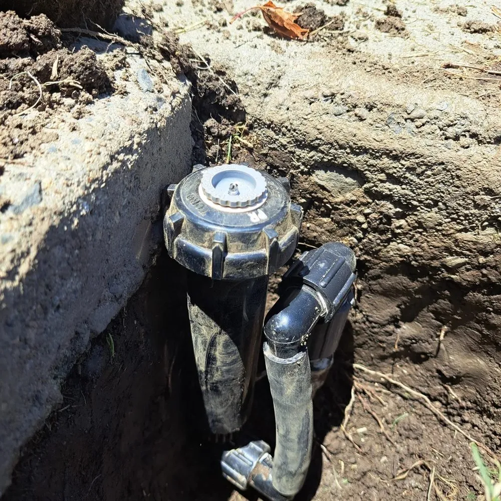 Trusted landscaping services experts serving Visalia, CA - JLR Landscape