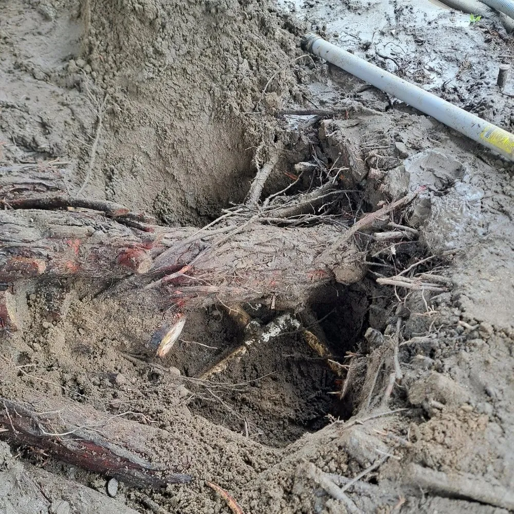 Top-rated landscape installation for residential properties in Visalia, CA by JLR Landscape