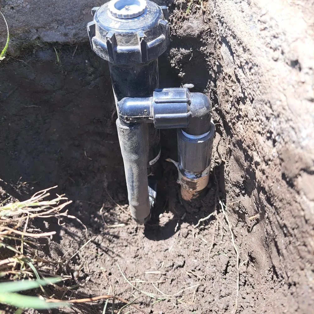 Local lawn mowing service for beautiful yards in Visalia, CA by JLR Landscape