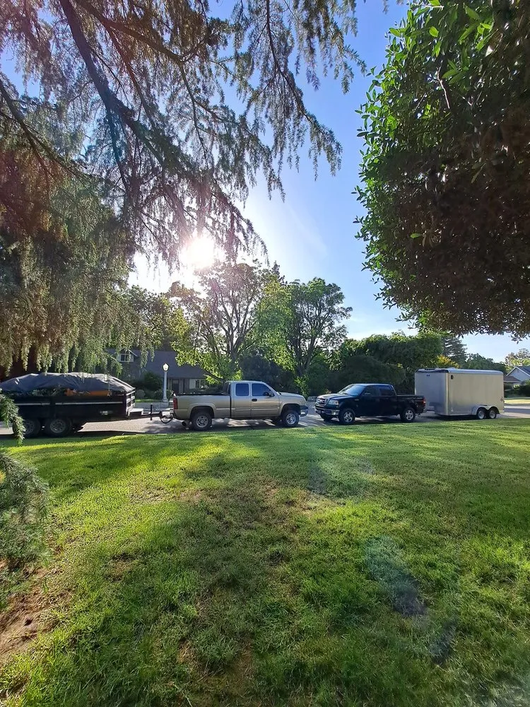 Affordable landscape installation in Visalia, CA - JLR Landscape