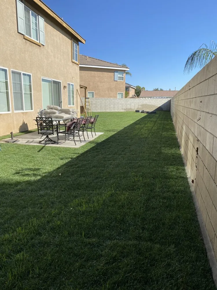Local yard cleanup service in Rialto, CA - Jlr Lawn Service