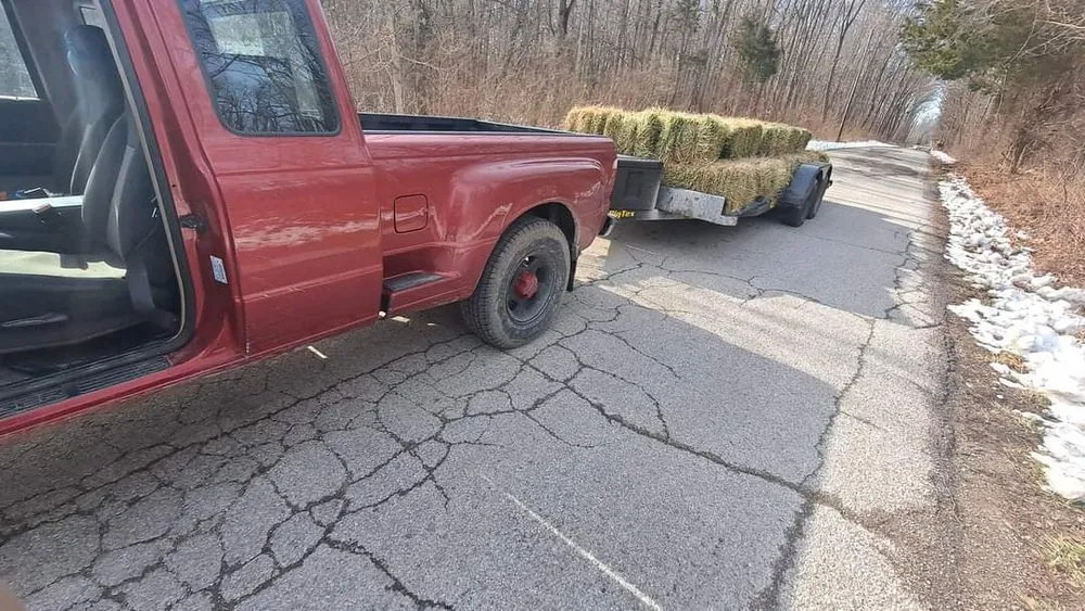 Professional lawn mowing service for outdoor upgrades across Mooresville, IN - JlS Handyman Services