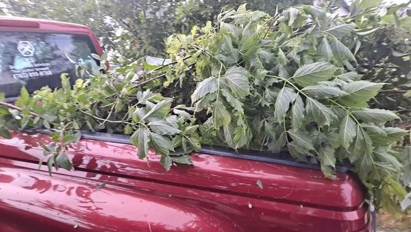 JlS Handyman Services