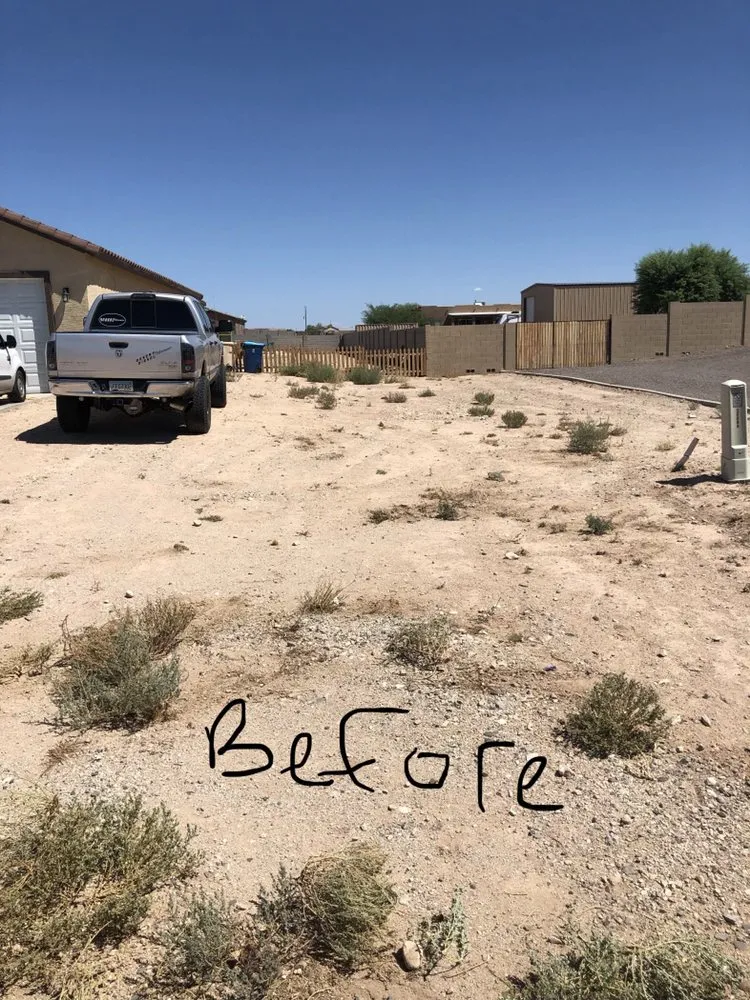 Professional landscape installation for beautiful yards in Avondale, AZ by JL’s Lawn Care