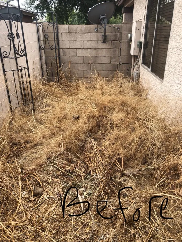 Expert lawn mowing service in Avondale, AZ - JL’s Lawn Care