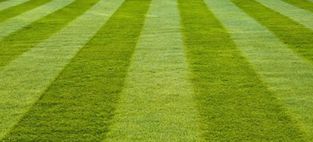 Expert garden landscaping near you in Avondale, AZ by JL’s Lawn Care