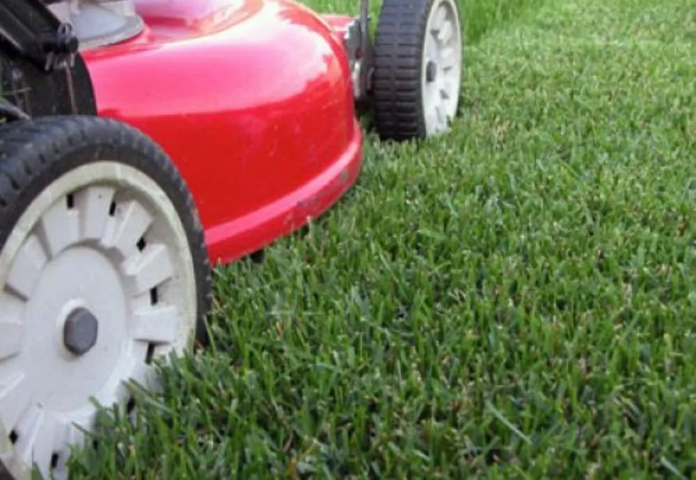 Reliable garden landscaping for year-round maintenance across Avondale, AZ - JL’s Lawn Care