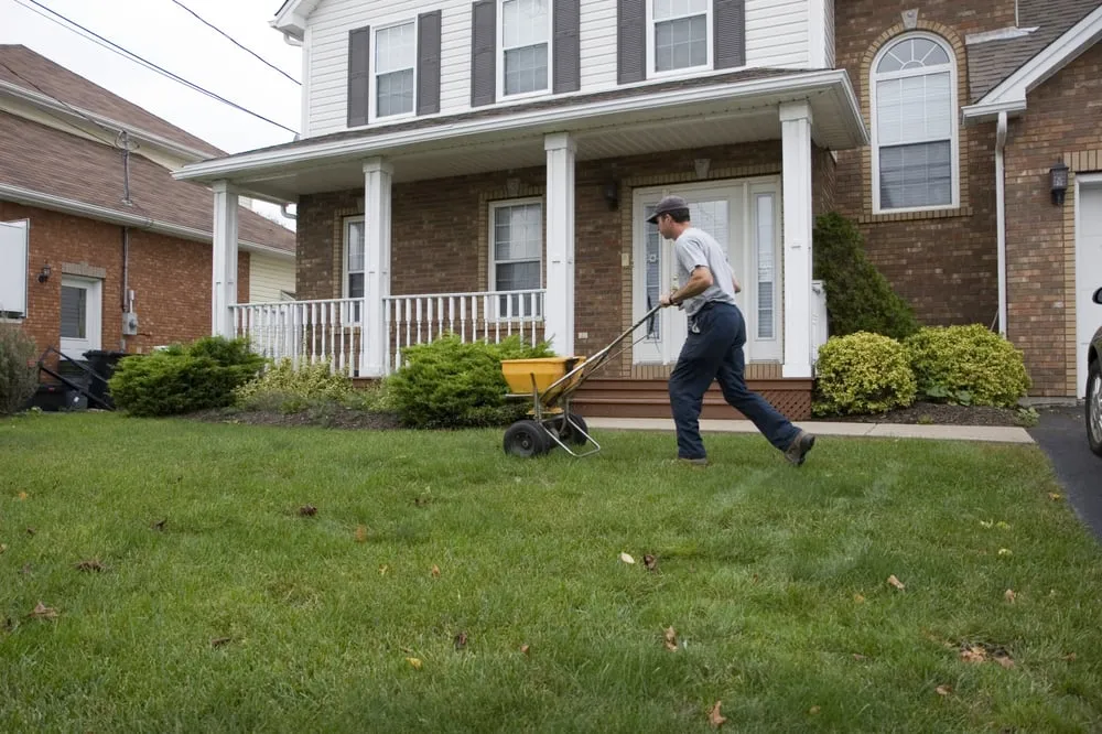 Expert yard cleanup service experts serving Tanner, AL - JL's Lawn Care